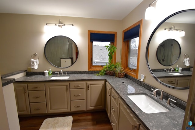 bathroom featuring hardwood / wood-style floors and vanity