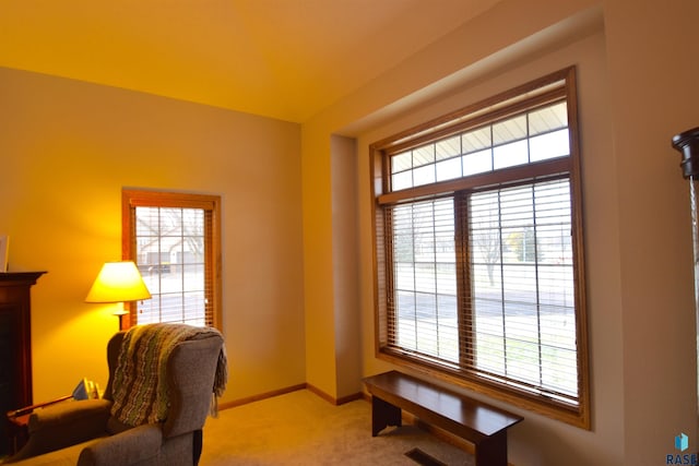 office space featuring light colored carpet and a healthy amount of sunlight