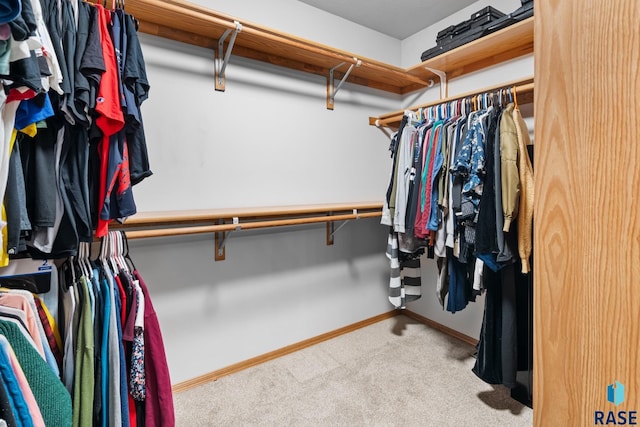 spacious closet featuring light carpet