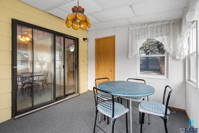 dining space featuring carpet and a paneled ceiling