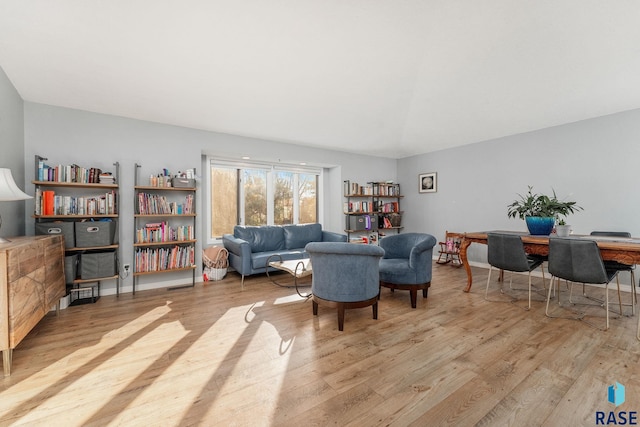 living room featuring light hardwood / wood-style floors