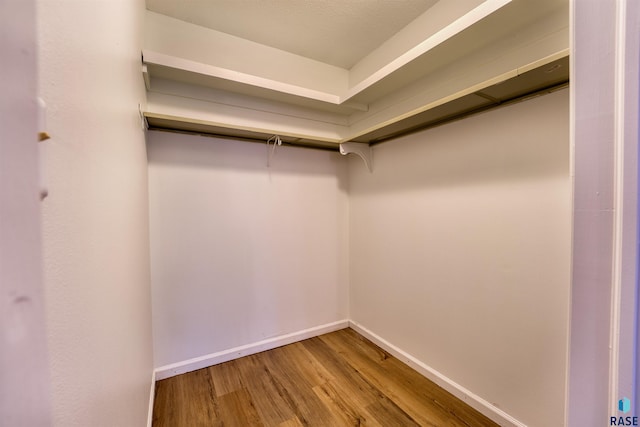 spacious closet featuring wood-type flooring