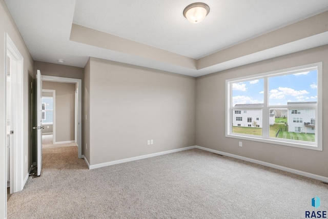 carpeted spare room featuring a raised ceiling and a healthy amount of sunlight