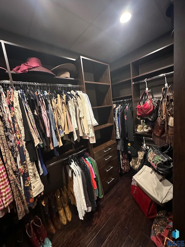 spacious closet featuring dark hardwood / wood-style floors