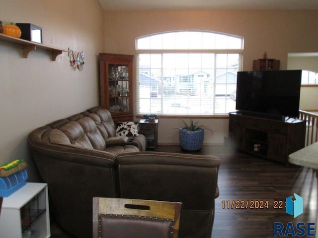 living room featuring dark wood-type flooring and a wealth of natural light