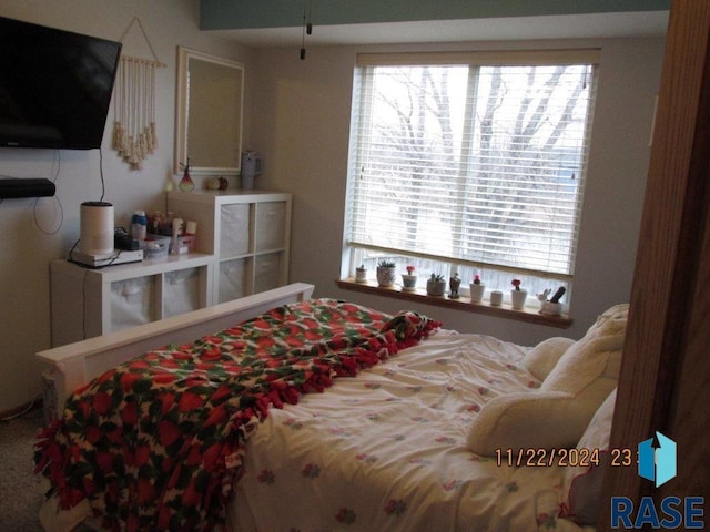 bedroom featuring multiple windows