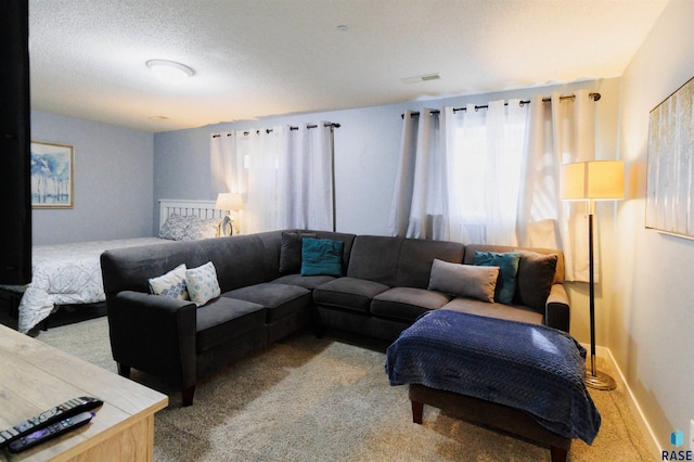 carpeted living room with a textured ceiling