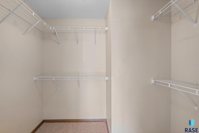 spacious closet featuring carpet floors