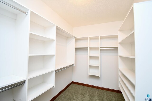 spacious closet featuring dark colored carpet