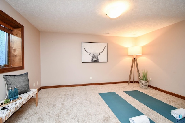 exercise area featuring a textured ceiling and carpet floors