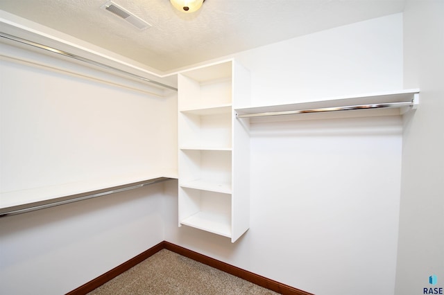 walk in closet with carpet floors