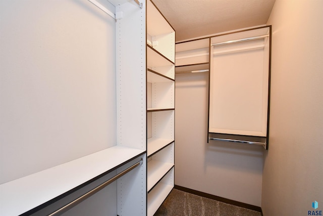 spacious closet with dark carpet