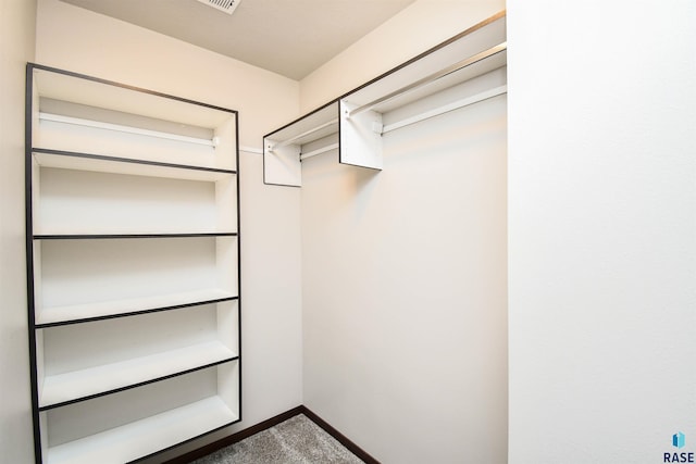 view of spacious closet