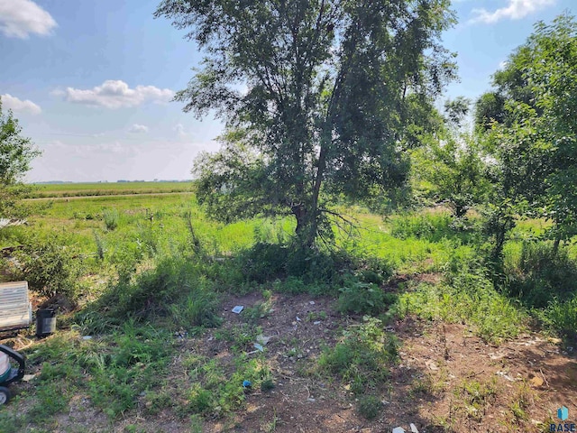 view of local wilderness featuring a rural view