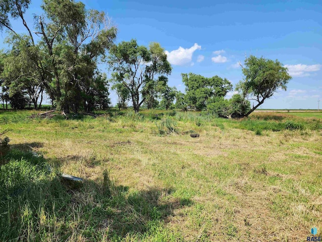 view of local wilderness featuring a rural view