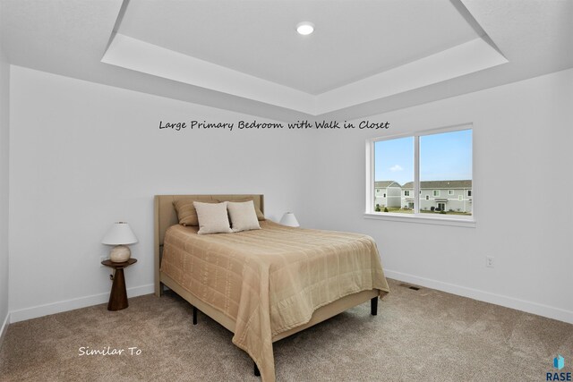 1271 N Marion Rd Unit 2, Sioux Falls, SD 57107 - bedroom featuring a tray ceiling, carpet, and baseboards