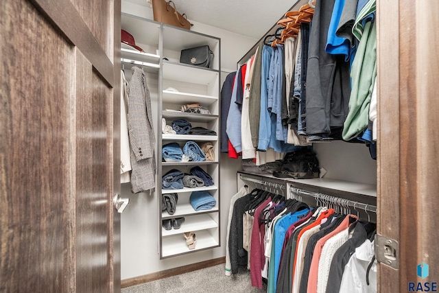 walk in closet with carpet floors