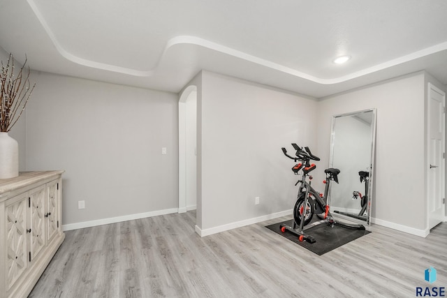 workout room featuring a raised ceiling and light hardwood / wood-style floors