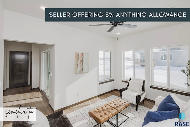 living room featuring ceiling fan and wood-type flooring