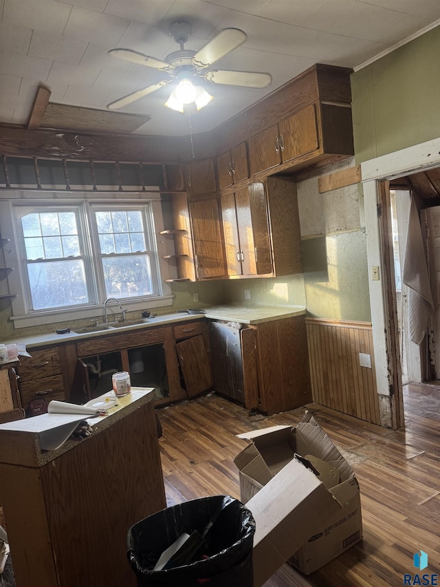 kitchen featuring ceiling fan, sink, dark wood-type flooring, and wood walls