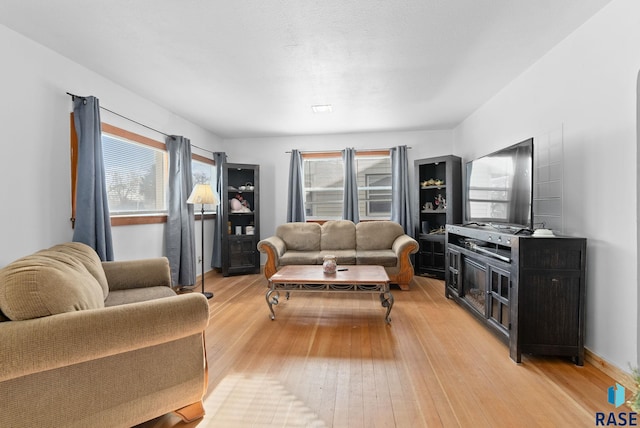 living room with plenty of natural light and light wood-type flooring