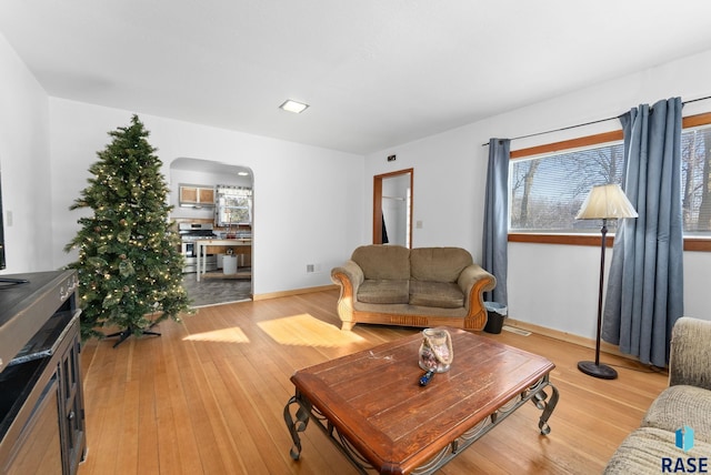 living room featuring light wood-type flooring