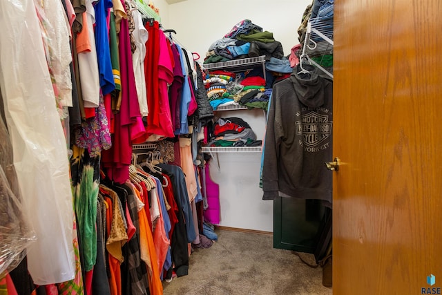 walk in closet with carpet