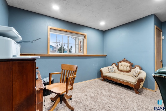 sitting room with carpet flooring