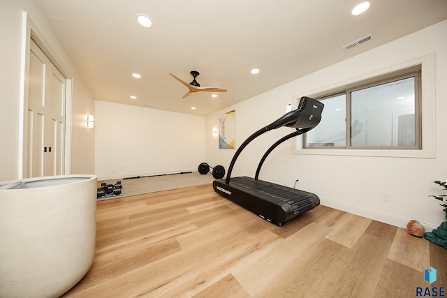 exercise area featuring ceiling fan and light hardwood / wood-style flooring