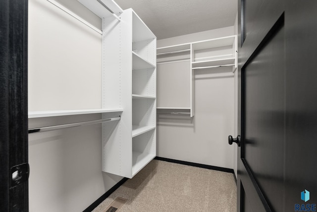 spacious closet with carpet