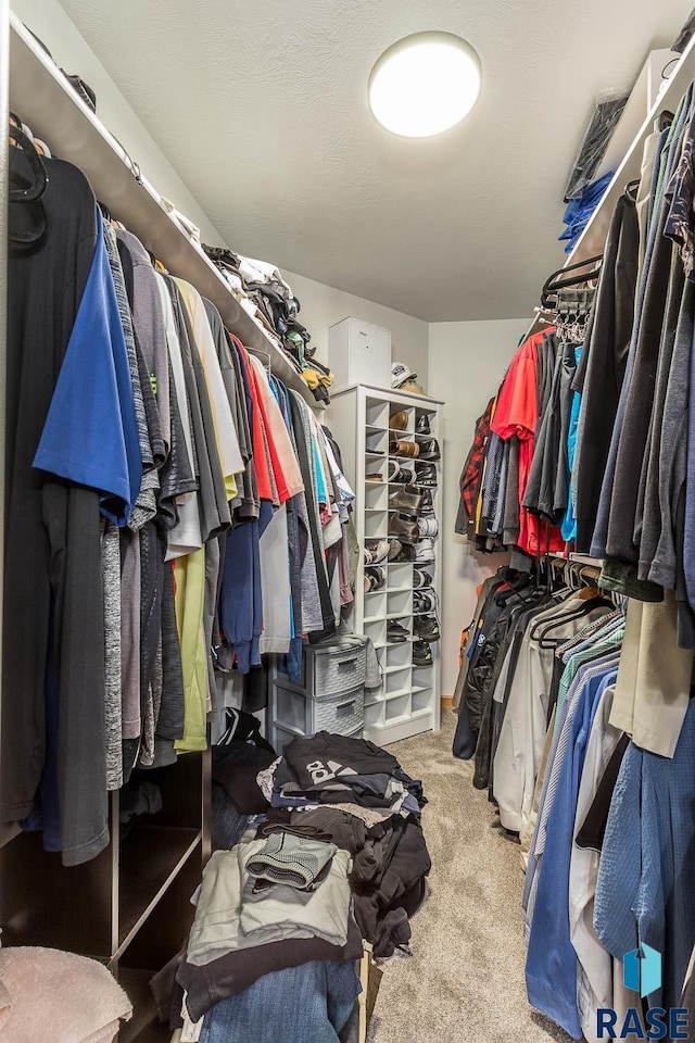 walk in closet featuring light colored carpet