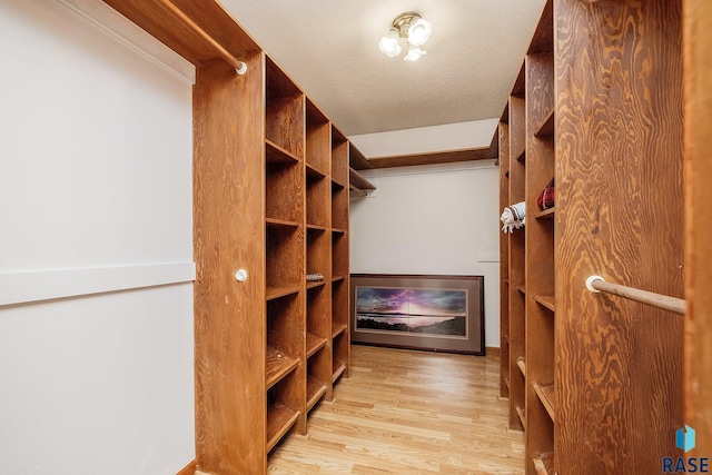 spacious closet with light hardwood / wood-style floors