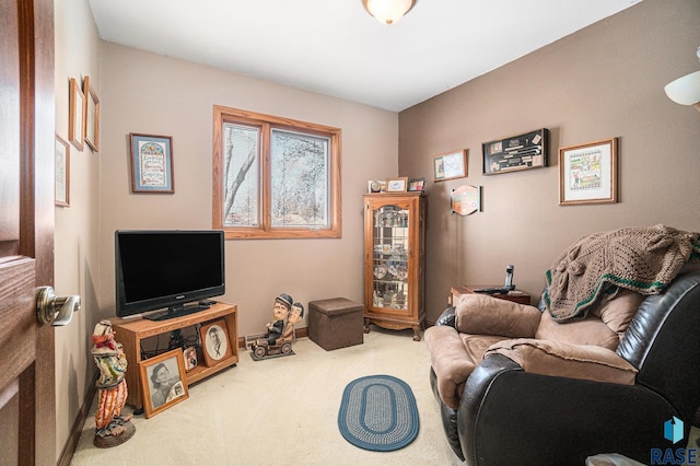 living area featuring carpet flooring