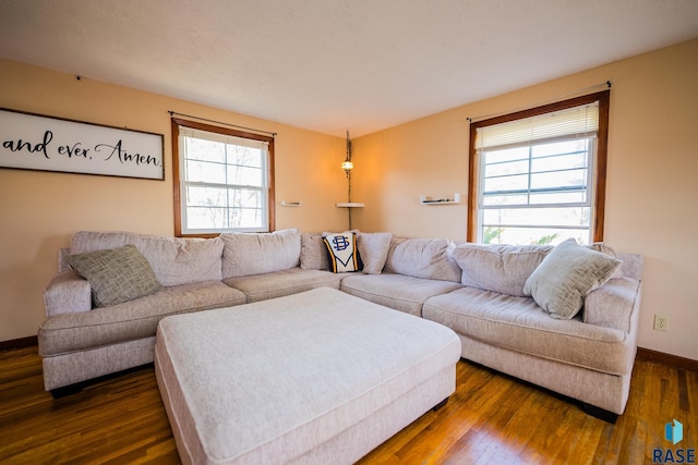 living room featuring dark wood-type flooring