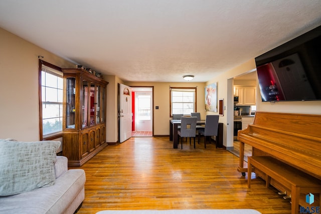 living room with light hardwood / wood-style floors