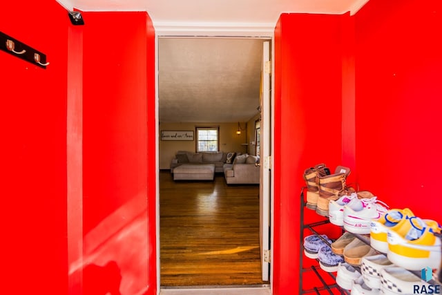 corridor with hardwood / wood-style floors