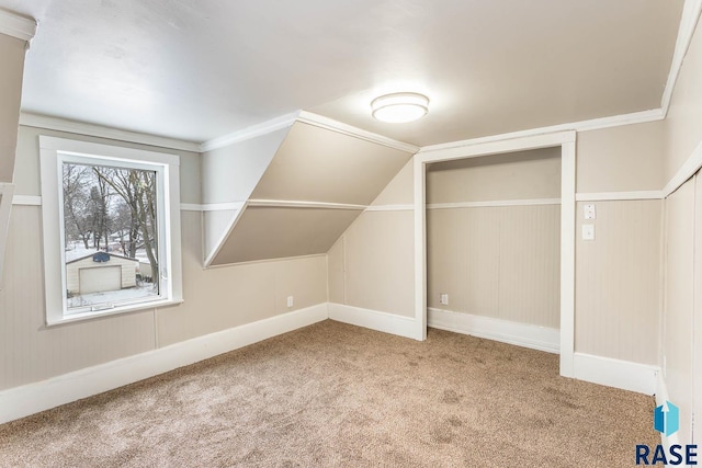 additional living space featuring carpet and vaulted ceiling