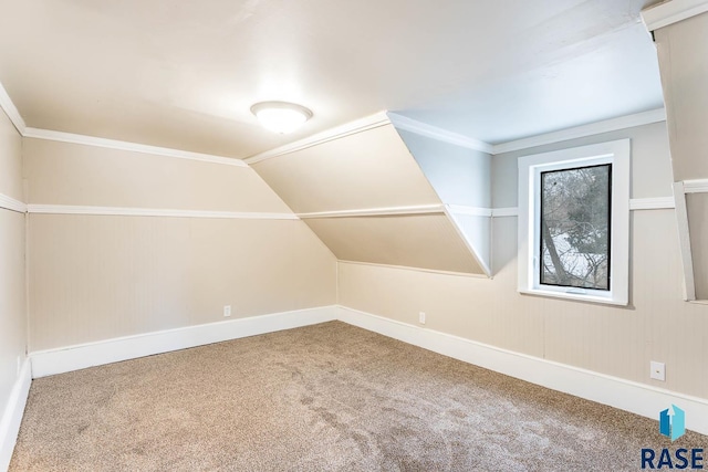 additional living space with carpet and vaulted ceiling