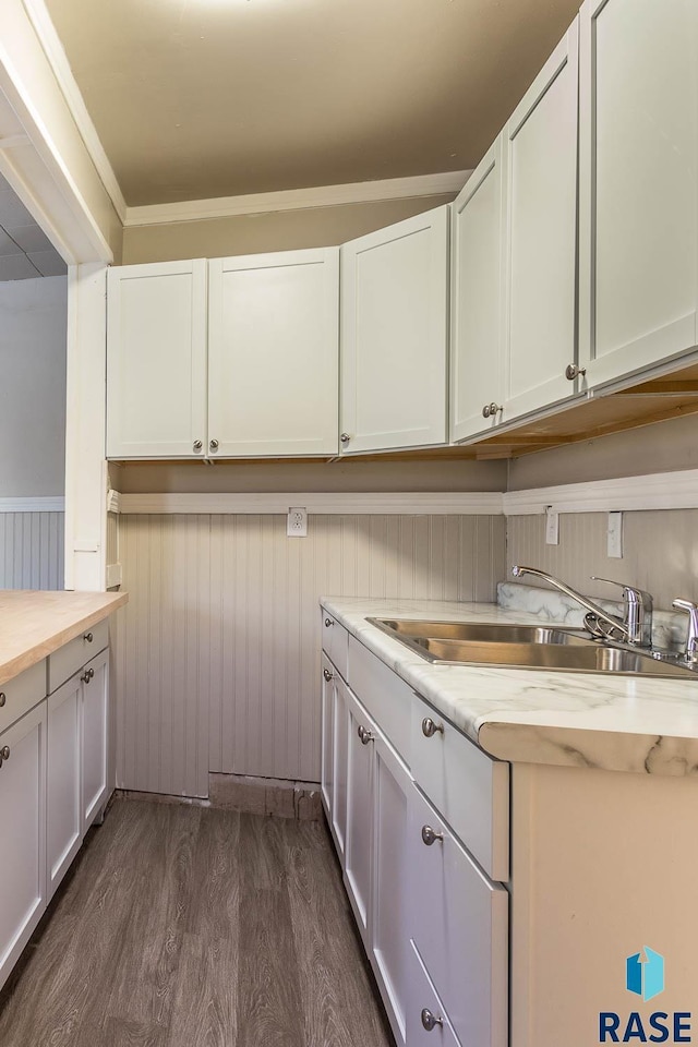 laundry room featuring crown molding, dark hardwood / wood-style flooring, and sink