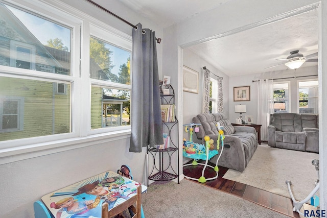 living room with hardwood / wood-style floors and ceiling fan