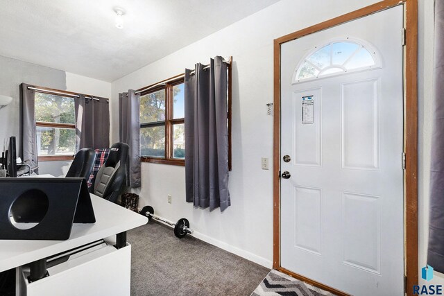 home office with carpet floors