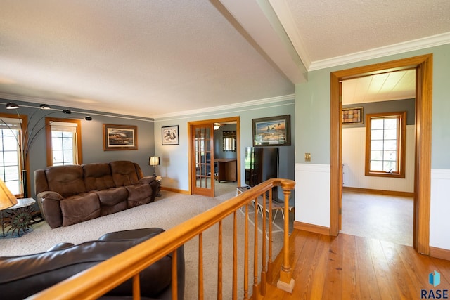 living room with a wealth of natural light, wood-type flooring, a textured ceiling, and ornamental molding