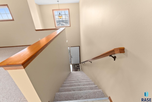 stairway featuring carpet floors