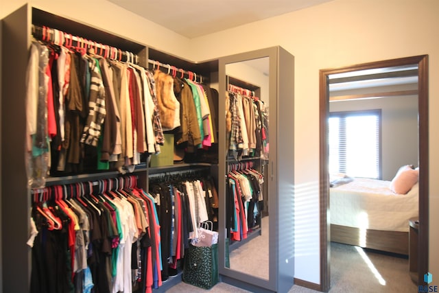 spacious closet featuring carpet flooring