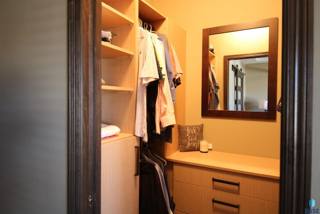 view of spacious closet