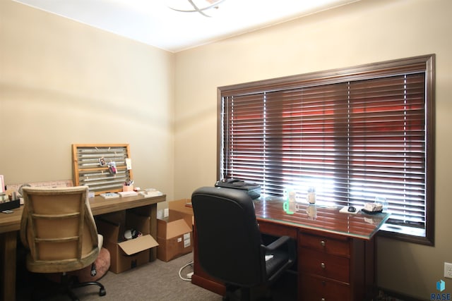 view of carpeted home office