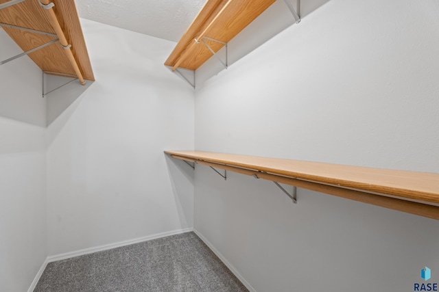 spacious closet featuring dark colored carpet