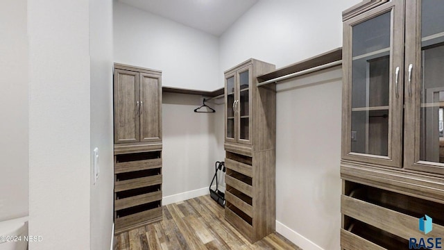 spacious closet with wood-type flooring