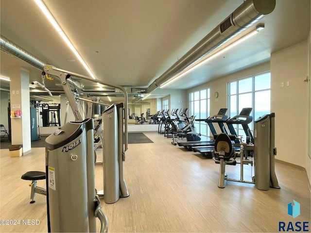 workout area featuring light hardwood / wood-style floors