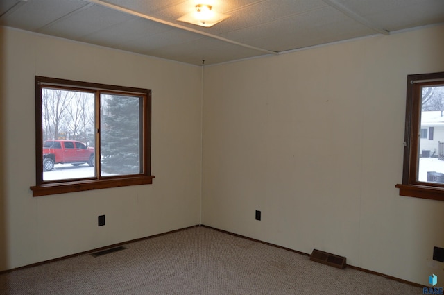 carpeted empty room featuring a wealth of natural light